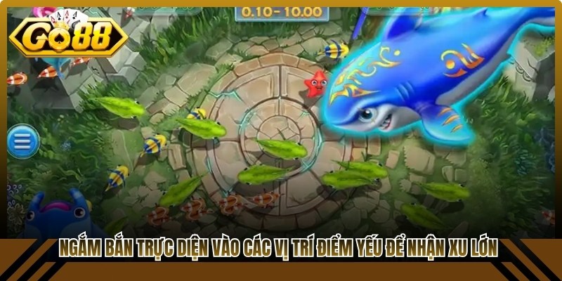 Ngắm bắn trực diện vào các vị trí điểm yếu để nhận xu lớn