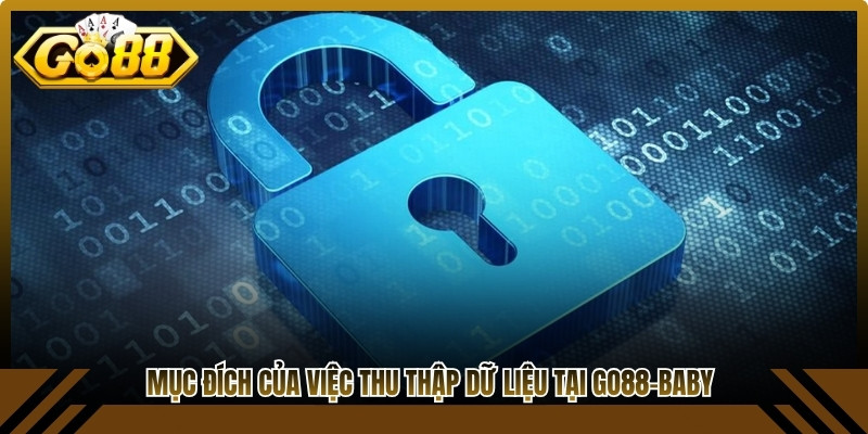 Mục đích của việc thu thập dữ liệu tại Go88-Baby